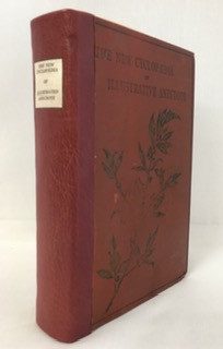 New Cyclopaedia of Illustrative Anecdote Religious and Moral