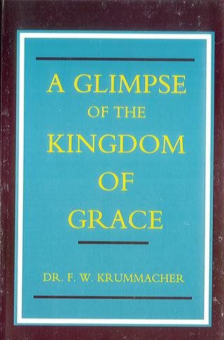 A Glimpse of the Kingdom of Grace