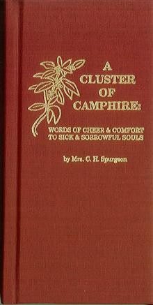 A Cluster of Camphire