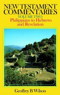 New Testament Commentaries - vol 2